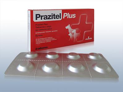 Chanelle Prazitel Plus Worming Tablets for Dogs, 8 Tablets